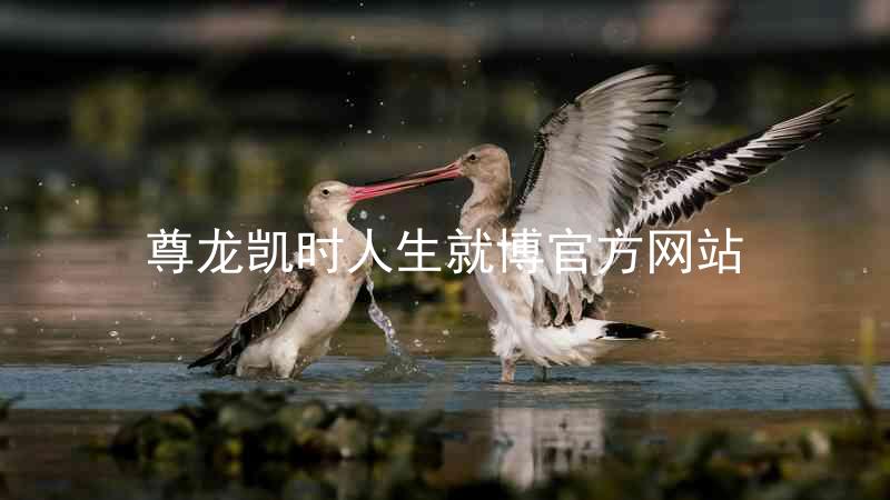 尊龙凯时人生就博官方网站